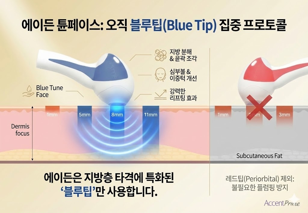 튠블루 블루팁 상세 1